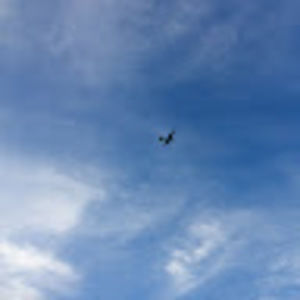 Meet your Posher, Riley